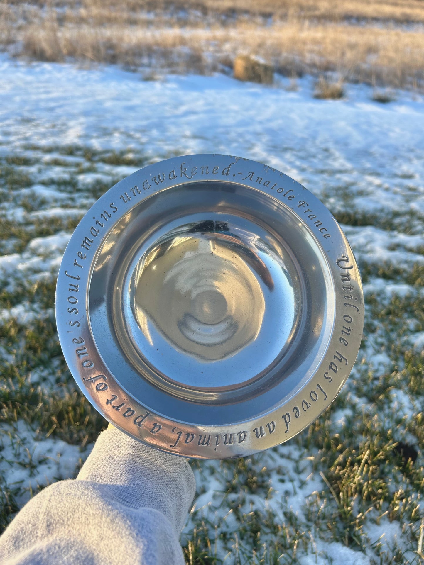 Pet Bowl