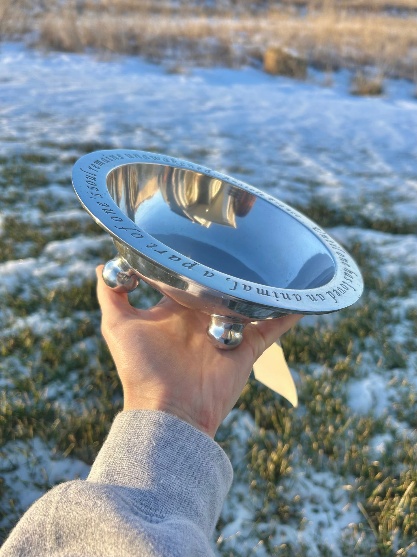 Pet Bowl