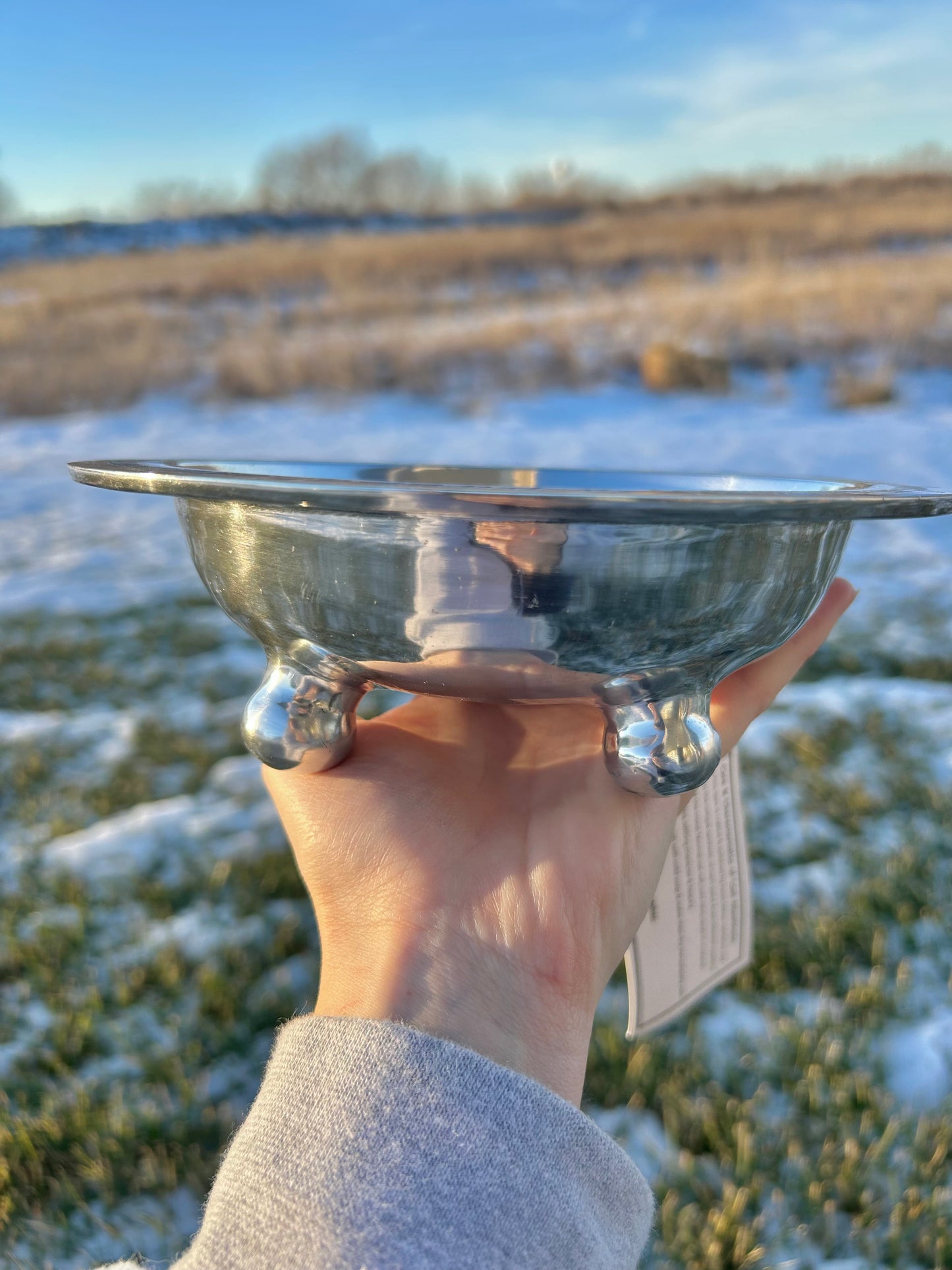 Pet Bowl