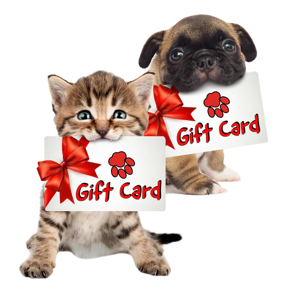 A&F Merch Gift Card