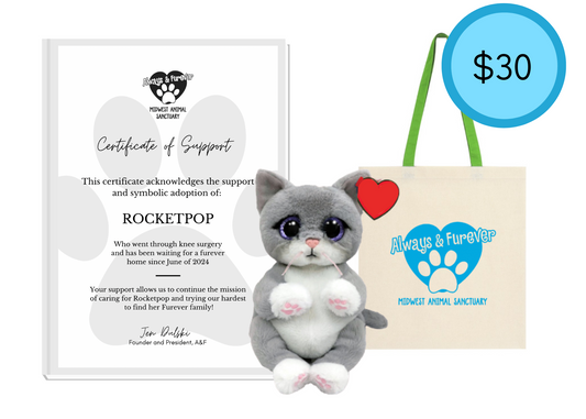 Symbolic Adoption Giftset
