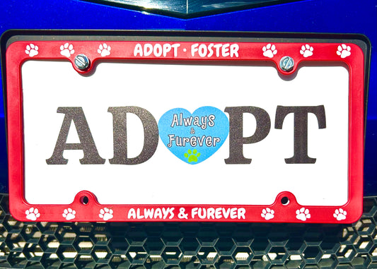 License Plate Frame