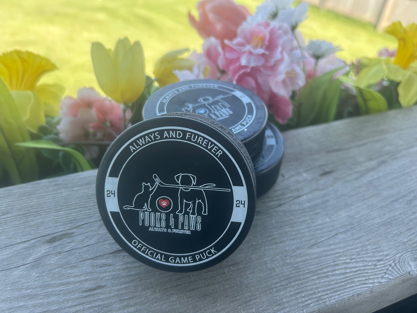 Hockey Pucks