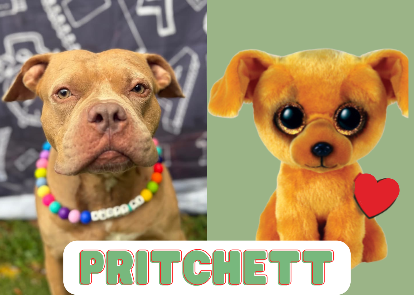 Symbolic Adoption Giftset