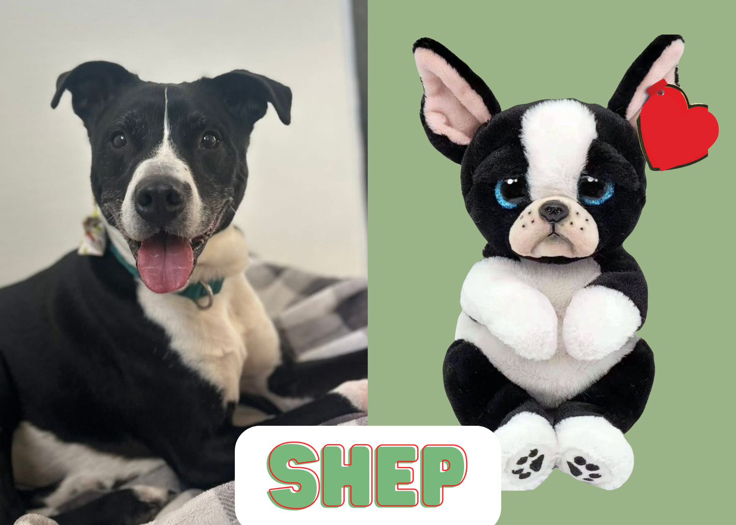 Symbolic Adoption Giftset