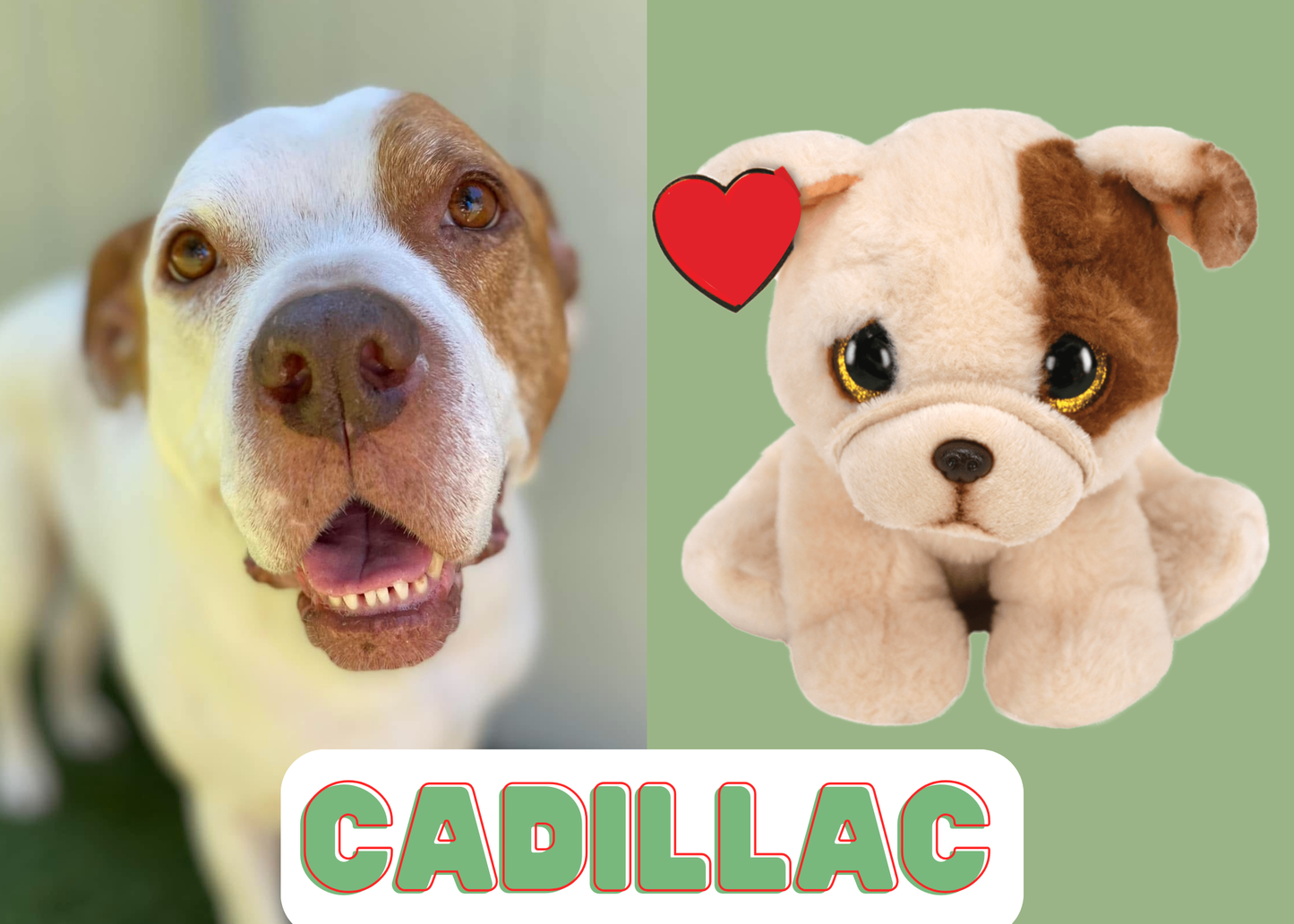 Symbolic Adoption Giftset