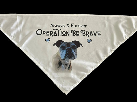 A&F Be Brave Bandana